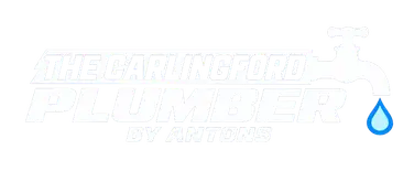 The Carlingford Plumber by Antons