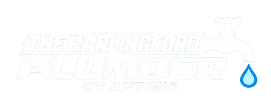 The Carlingford Plumber by Antons