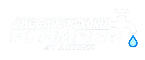 The Carlingford Plumber by Antons