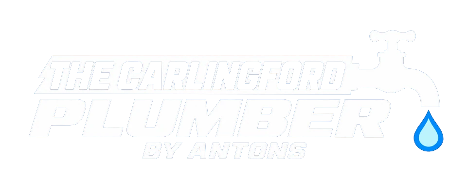 The Carlingford Plumber by Antons